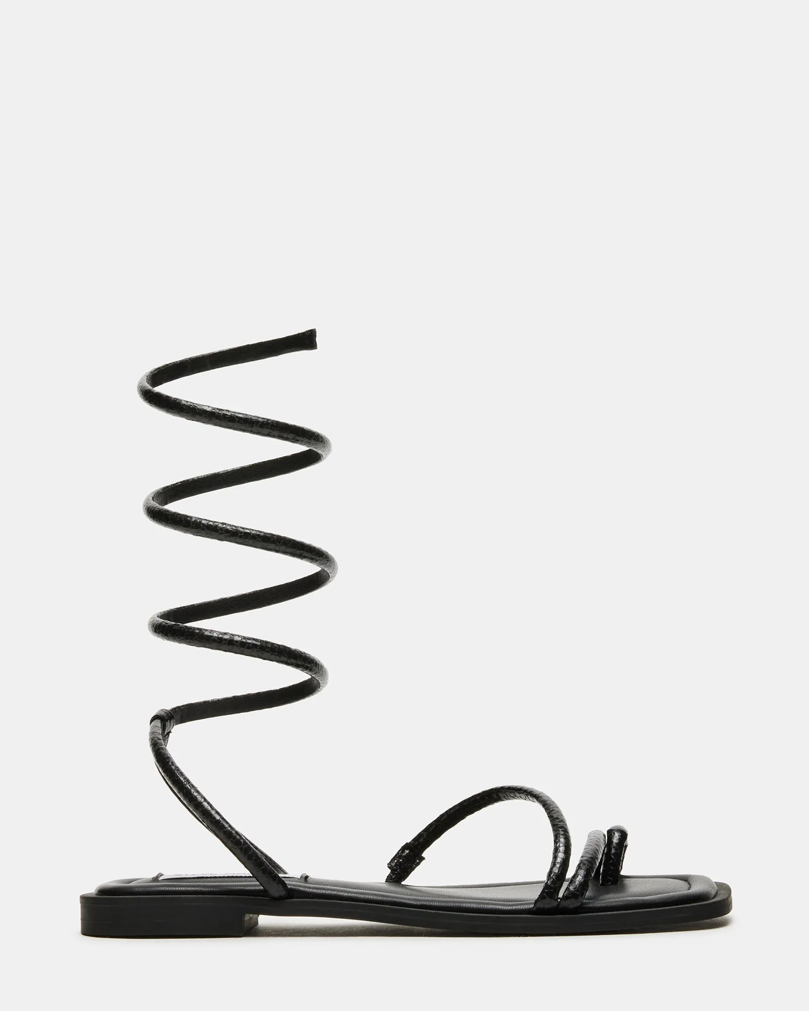 ANTELLE BLACK SNAKE - SM REBOOTED
