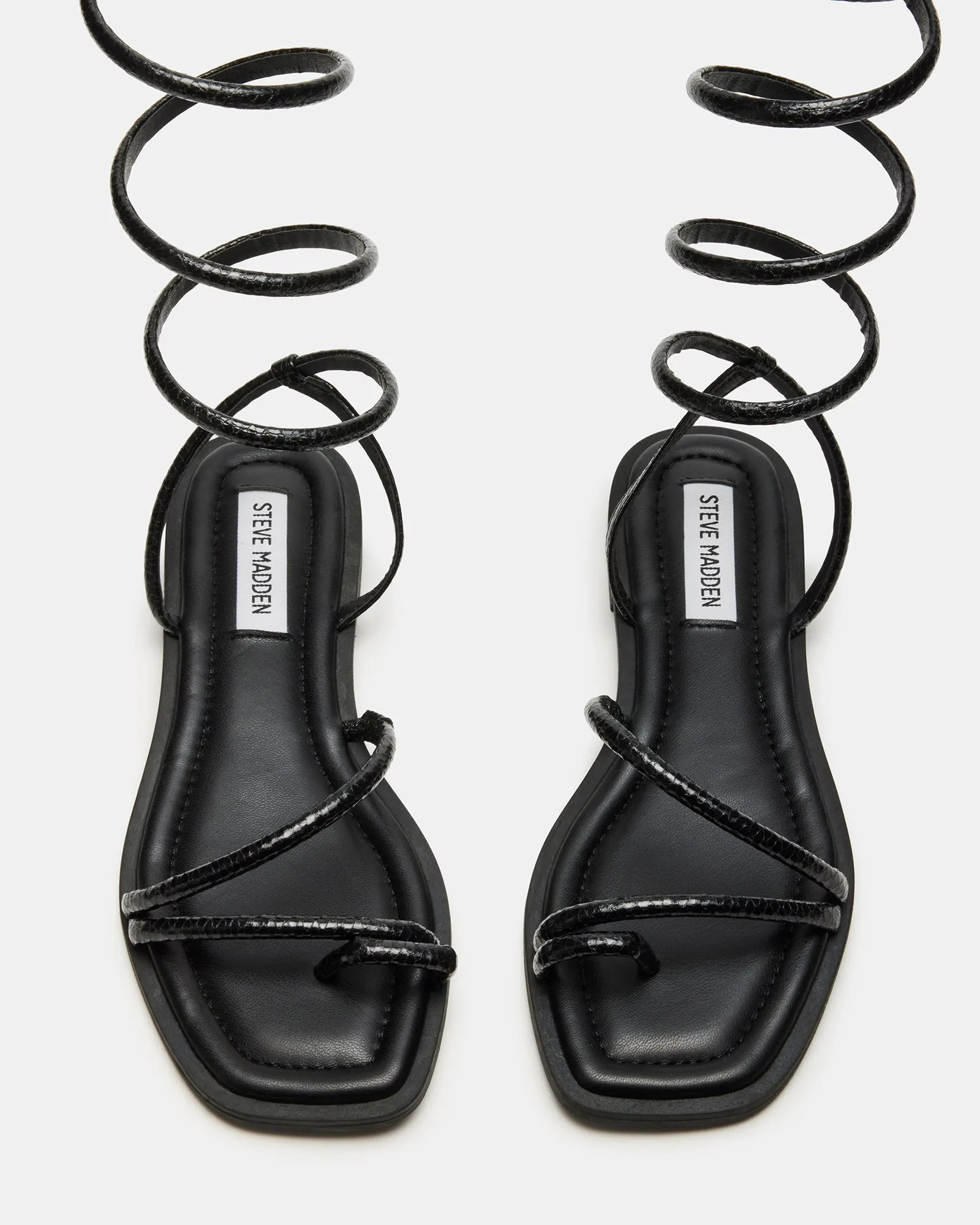 ANTELLE BLACK SNAKE - SM REBOOTED