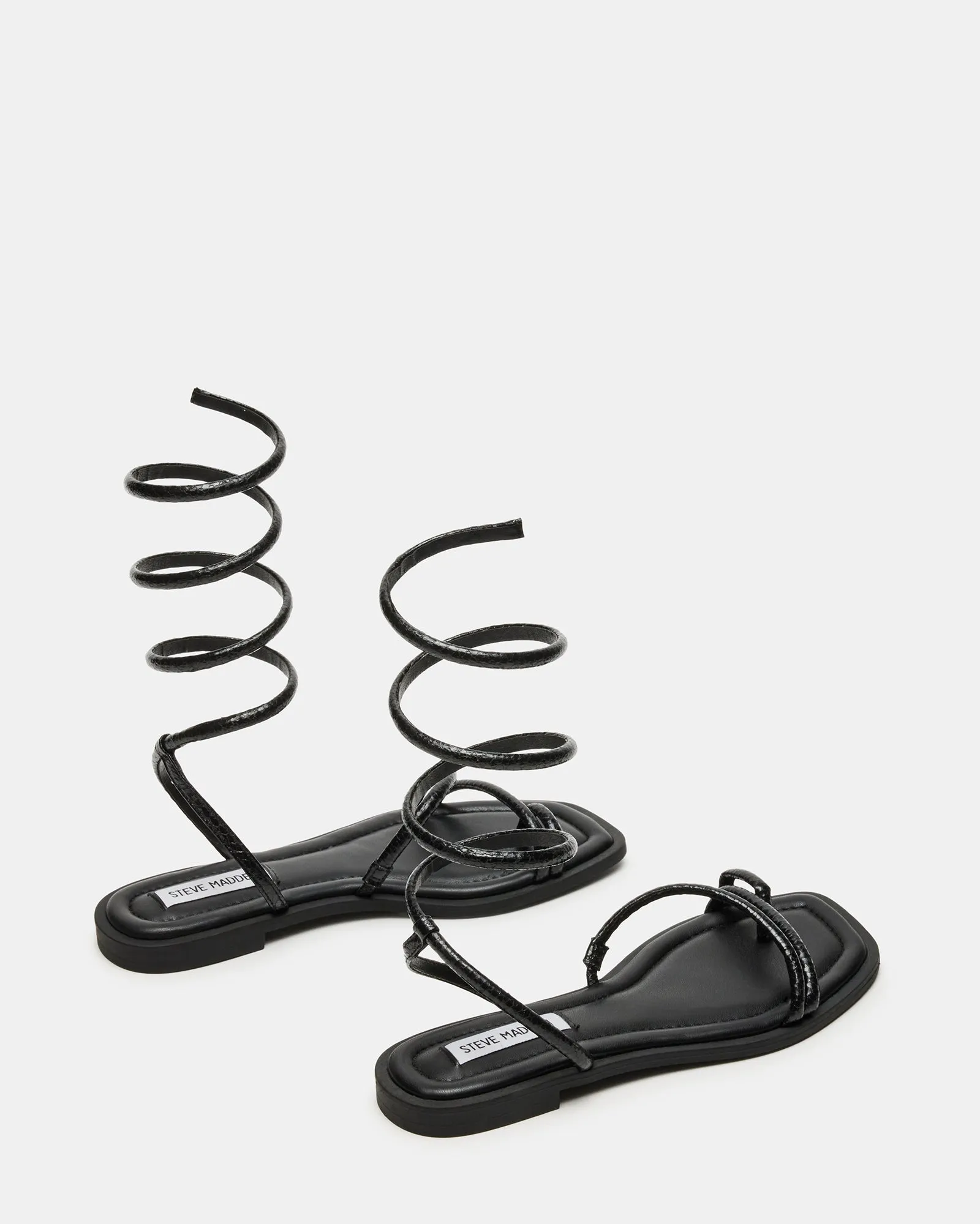 ANTELLE BLACK SNAKE - SM REBOOTED