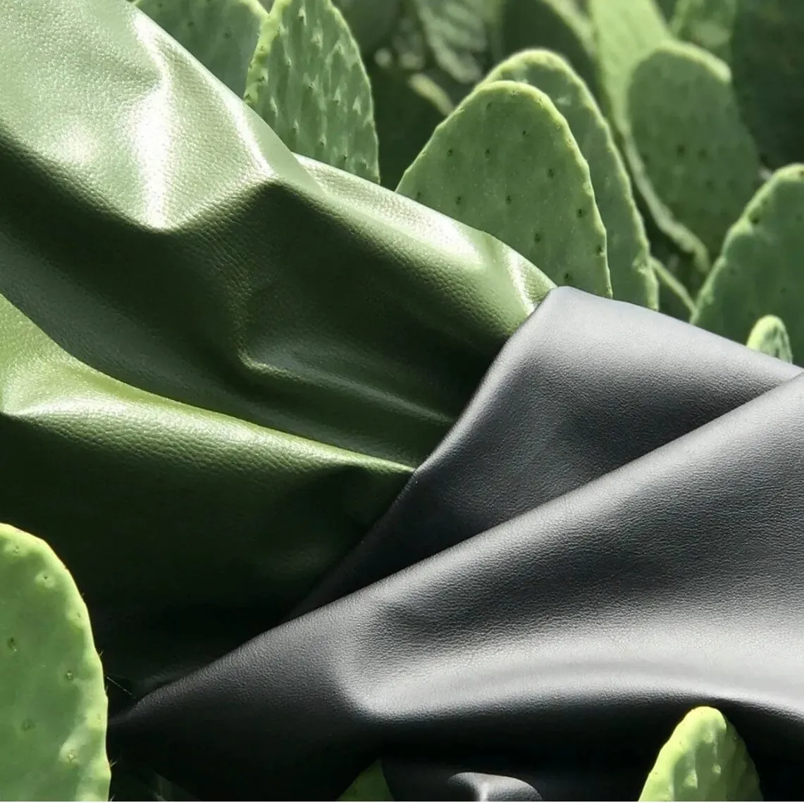 Moderno Cactus Leather Vegan Watch | Multiple Colours