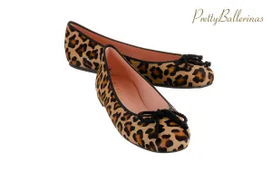 Pb Cheetah