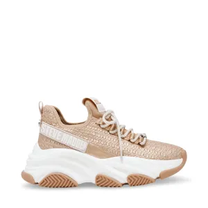 Project Trainer BRONZE GOLD / SILVER